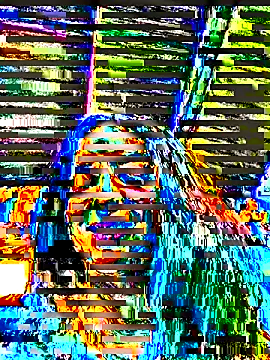 Sam Sara online show from December 20, 6:37 pm