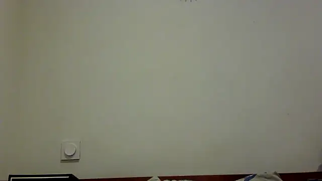 Snapshot of feline27 chatting on October 28, 9:17 pm feline27 online show from October 28, 9:17 pm