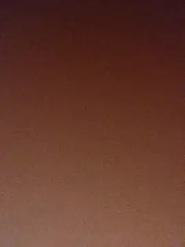 Snapshot of pinaxpack1 chatting on November 3, 4:03 am pinaxpack1 online show from November 3, 4:03 am