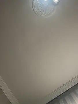 Soylu95 online show from January 17, 11:04 am