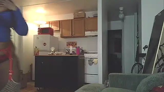 Snapshot of SiminFox chatting on December 18, 3:12 am SiminFox online show from December 18, 3:12 am