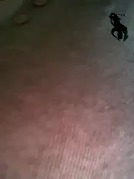 Ruby bear online show from December 19, 3:46 am