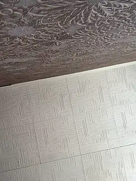 Snapshot of AmmyHot chatting on November 20, 6:13 am AmmyHot online show from November 20, 6:13 am