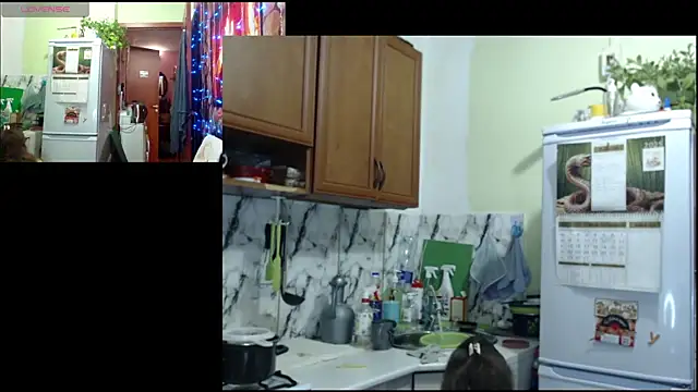 Sakura Green online show from December 22, 3:31 pm