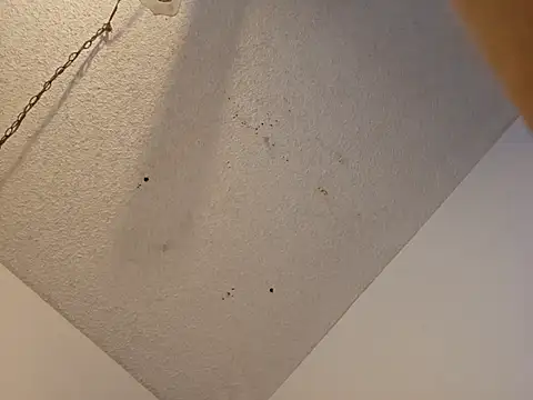 anyway2cum online show from January 19, 2:59 pm