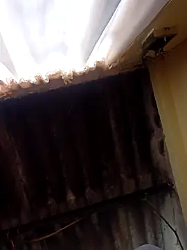 dantero online show from February 27, 3:48 pm