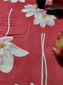 Dil-Ka-Radhika online show from October 24, 2:19 am