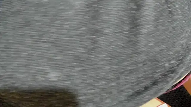 Cloee66 online show from February 5, 7:42 pm