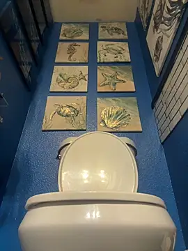 cococobanna online show from February 5, 1:27 pm