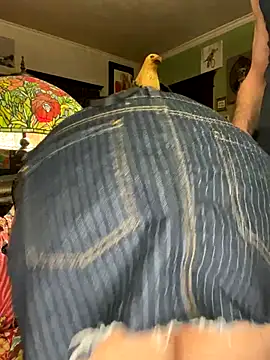 sexyasscougar online show from November 29, 4:04 am