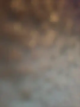 Atlantalitty online show from January 21, 9:15 pm