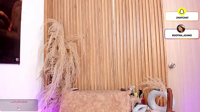 sofhiaa adaams online show from February 27, 10:43 pm