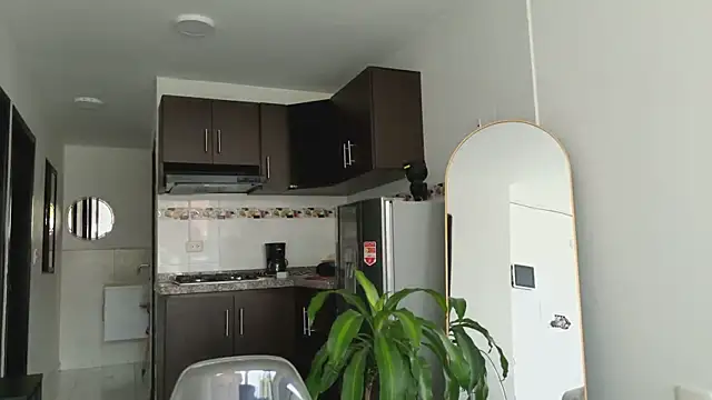 grey   27 online show from March 10, 2:48 pm