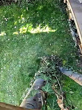 Lorent6969 online show from March 7, 1:18 pm