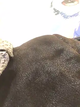 ChantalXOrchid online show from January 23, 6:56 pm