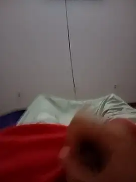 Snapshot of SAlvaador chatting on November 1, 6:15 am SAlvaador online show from November 1, 6:15 am