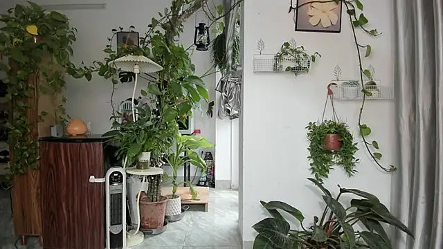 Oliver Nl online show from March 3, 4:07 am