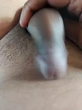 Dog546i online show from September 20, 9:54 am