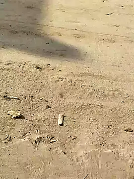 Snapshot of Monster_Bigdick chatting on December 8, 3:32 am Monster Bigdick online show from December 8, 3:32 am