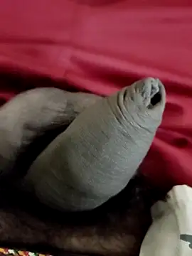 Ashish02345 online show from January 24, 8:22 pm