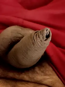 Ashish02345 online show from January 25, 8:31 pm