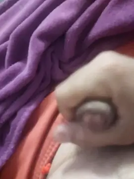 Snapshot of dredre1069 chatting on February 2, 3:05 am dredre1069 online show from February 2, 3:05 am