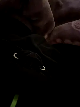 Snapshot of balamuc97 chatting on December 4, 11:52 am balamuc97 online show from December 4, 11:52 am