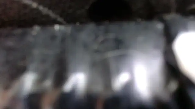 SaraMartins00 online show from December 14, 9:45 pm