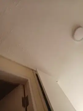 zafka 9 online show from April 17, 8:12 pm