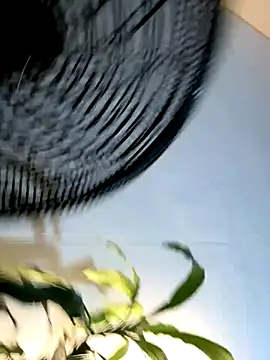  Miguel100 online show from November 6, 2:56 am