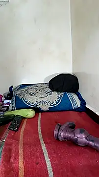 Snapshot of trans511 chatting on October 9, 3:10 pm trans511 online show from October 9, 3:10 pm