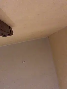 ClatteryPrexy online show from March 19, 12:58 am