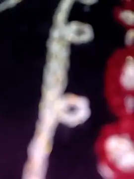 Snapshot of Anamika_24 chatting on November 8, 4:34 am Anamika 24 online show from November 8, 4:34 am