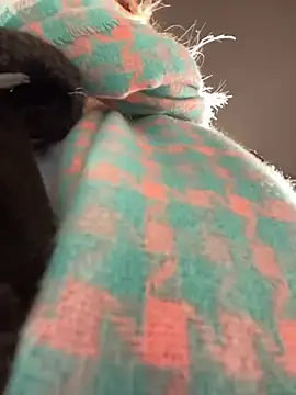 MerlinDave online show from January 6, 1:42 am