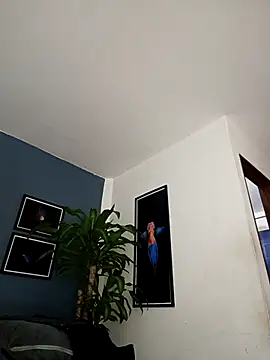 SilvaBranko online show from December 18, 12:06 am