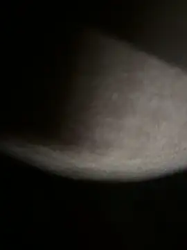 Snapshot of Bongcrush_3 chatting on March 8, 1:17 am Bongcrush 3 online show from March 8, 1:17 am