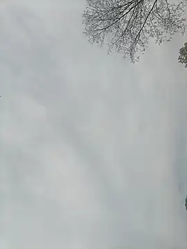 Snapshot of Nkumar173 chatting on February 13, 5:26 am Nkumar173 online show from February 13, 5:26 am