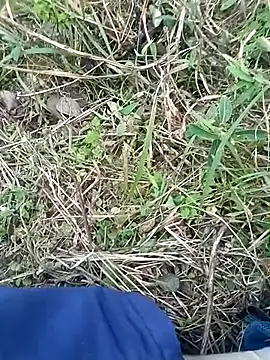 Snapshot of Nkumar173 chatting on November 8, 11:54 am Nkumar173 online show from November 8, 11:54 am