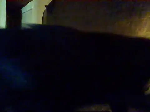 Nightshade7712 online show from September 16, 9:38 pm