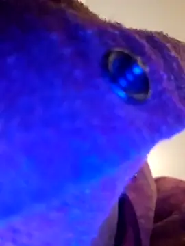 Snapshot of Armyexhibitionistvet chatting on September 9, 8:58 am Armyexhibitionistvet online show from September 9, 8:58 am