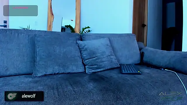 alex wolf  online show from November 28, 2:42 pm