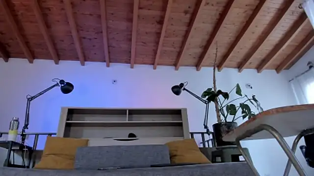 Snapshot of bruno_woods chatting on March 7, 2:47 pm bruno woods online show from March 7, 2:47 pm