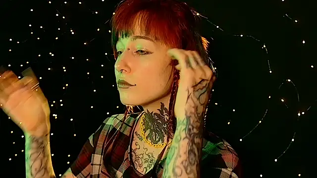 Snapshot of Littlespacemouse chatting on December 29, 2:27 am Littlespacemouse online show from December 29, 2:27 am