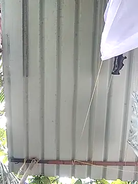 Mafiya1604 online show from September 27, 4:17 am