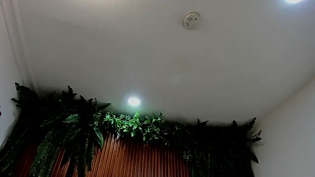 alice greco online show from March 6, 7:10 pm