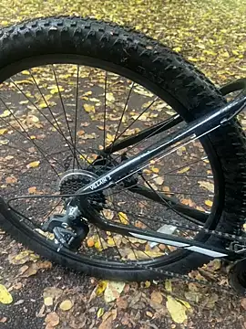 Shyboy817 online show from October 22, 2:50 pm