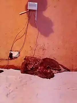 cute naimah online show from December 5, 6:15 pm