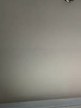 El Gizmo online show from January 8, 7:24 pm