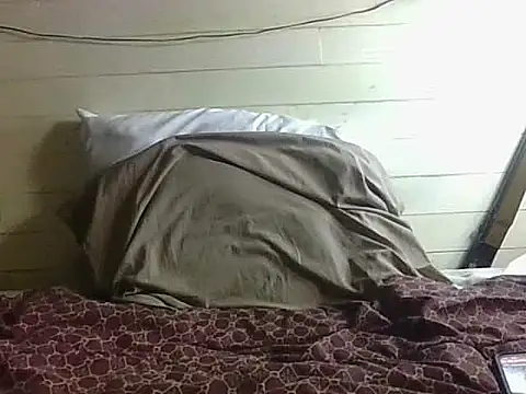 jabo870 online show from December 19, 2:40 am