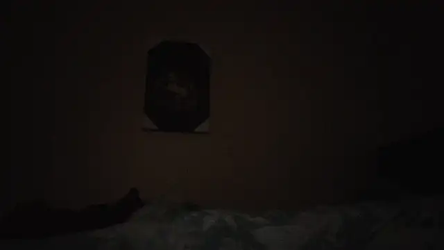 hailzeffn online show from November 13, 2:10 am